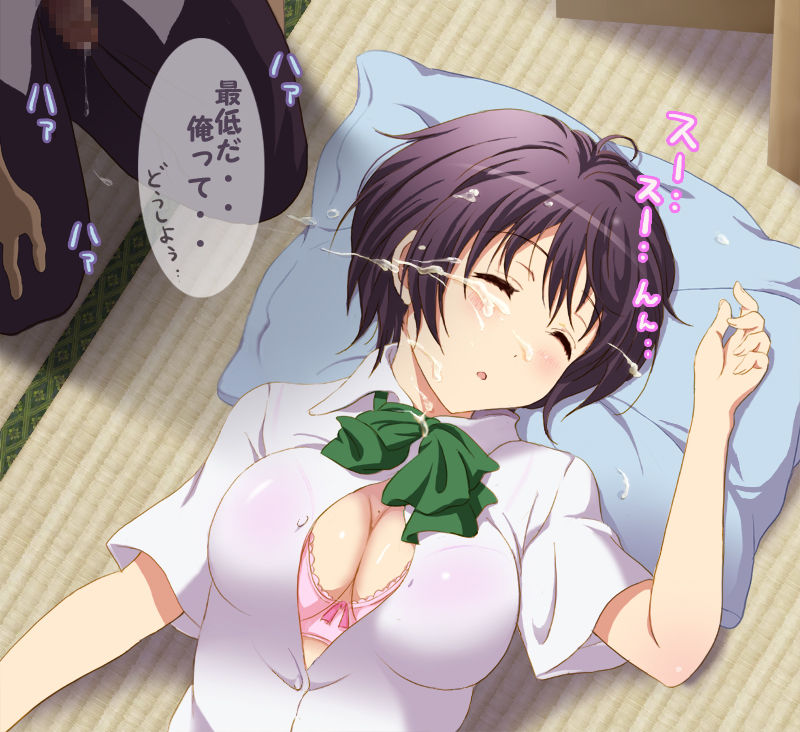 寝ている熟睡中の彼女に睡眠姦レイプセックスおちんぽ挿入したり射精ザーメンぶっかけたりいたずら・・・睡姦レイプ二次エロ画像